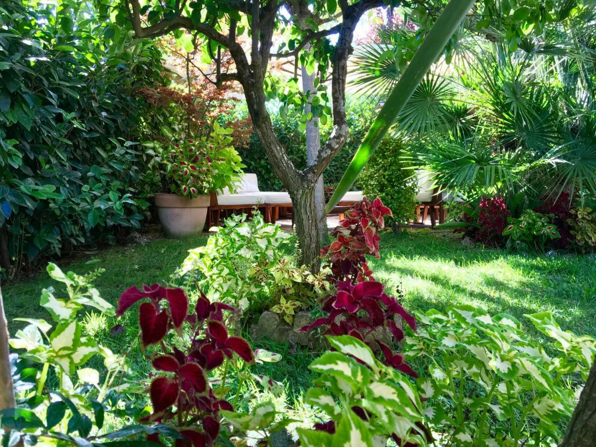 Relais Casa Moresca แตร์ราชินา ภายนอก รูปภาพ